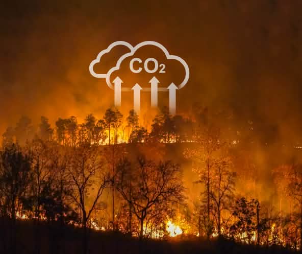 Wildfires and slash-and-burn clearing are driving the global climate crisis