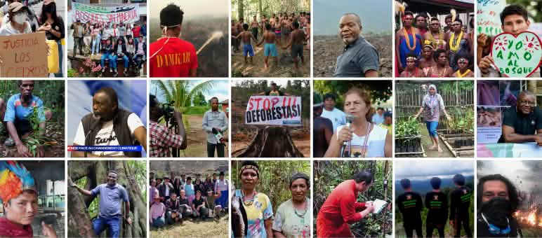 Rainforest Rescue partners – taking action for the environment Collage: a selection of Rainforest Rescue partners
