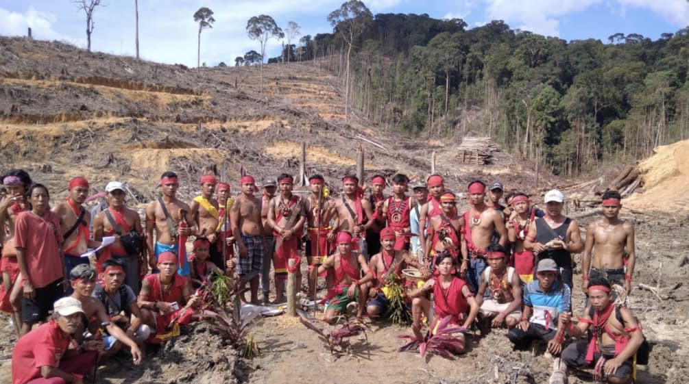 Indigenous Dayak on clear-cutting