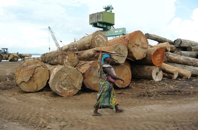 Logs in the harbor of Kinshasa