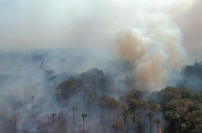 Aerial view of burning rainforest