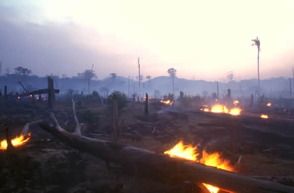 Slash and burn in Brazil