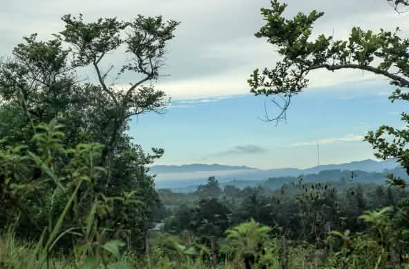 Morowali Nature Reserve