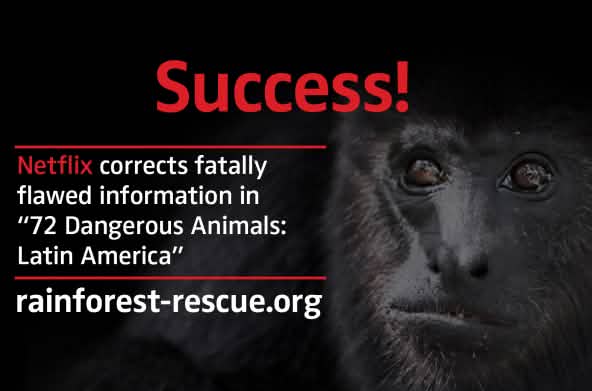Black howler monkey (Alouatta carayá) with text "Success!"