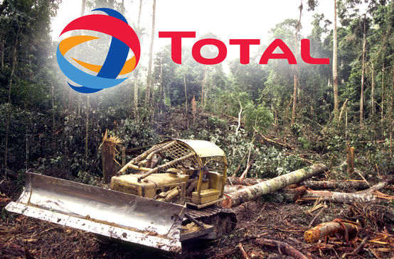 Rainforest clearing, Total logo