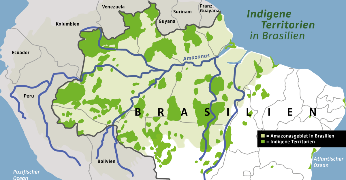 Brazil Help The Indigenous Ka Apor Defend The Amazon Rainforest Rainforest Rescue