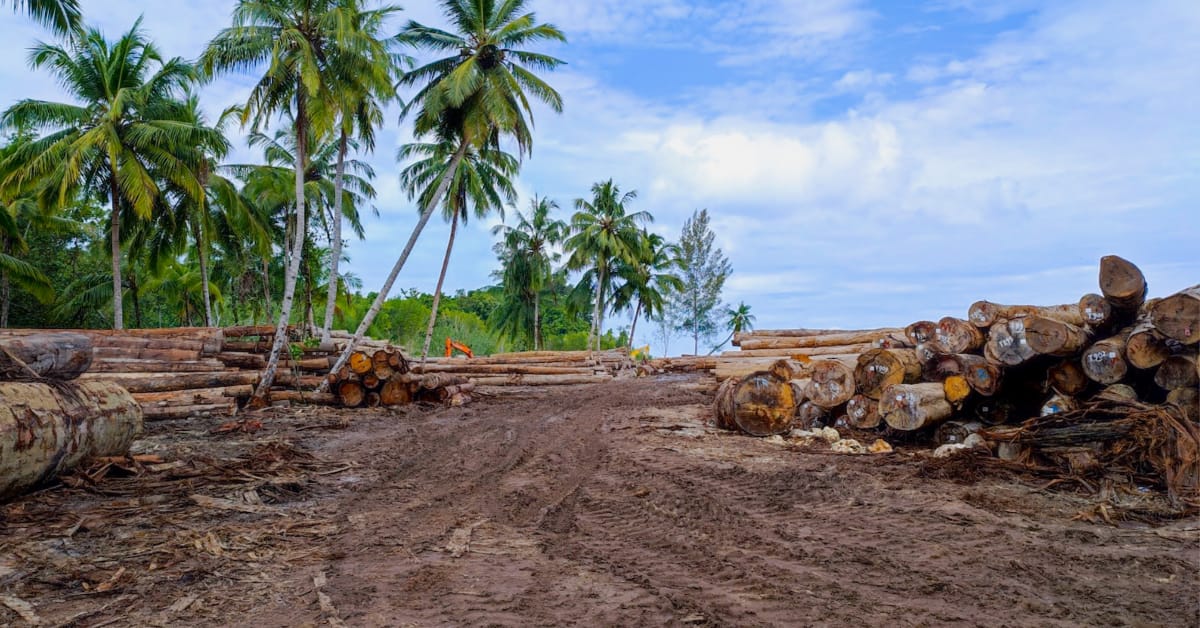 Deforestation in Haiti - Wikipedia