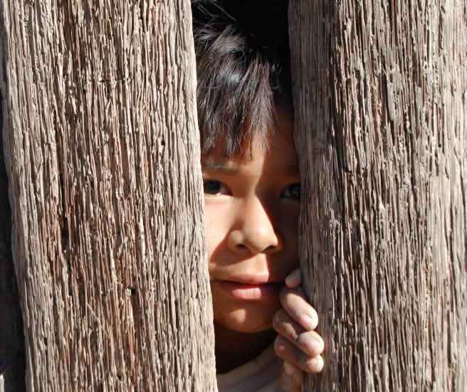 A child peeking through two wooden planks