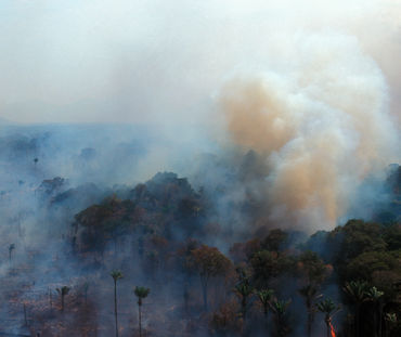 Aerial view of burning rainforest