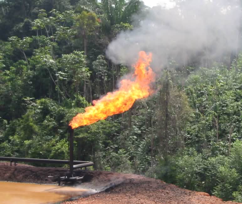 Environmental degradation through oil drilling in Ecuador Oil drilling in Ecuador