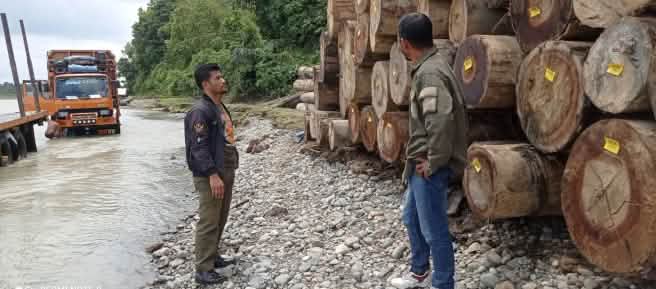 Two men standing in front of a stack of logs and a truck