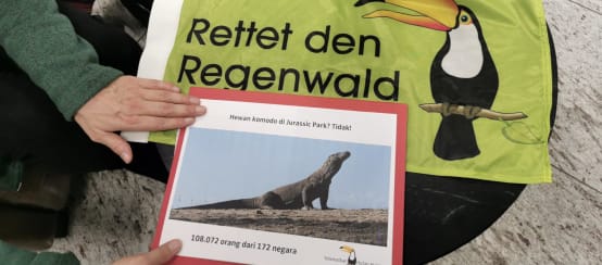 Rainforest Rescue banner and Komodo petition on a round table