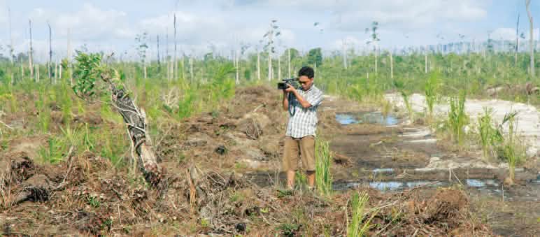 Conservationists record video of palm oil company Wilmar's logging activities