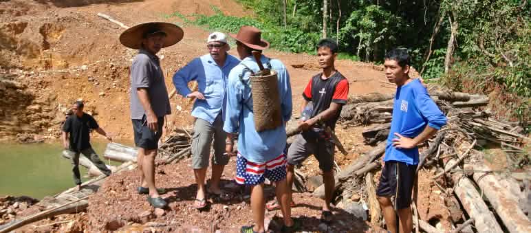 Activists that fight for the rights of indigenous people live in constant danger Indigenous people stand on a dirt road illegally built by loggers in Sarawak