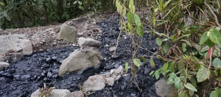 Oil pollutes Ecuador's Amazon rainforest (Picture: http://thepeoplesrecord.com) A stream of black crude oil has spilled over an area covered with gravel and stones