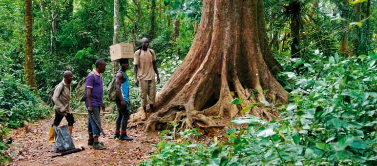 The indigenous Ekuri have been protecting their forest for generations Eco-Guards in the rainforest