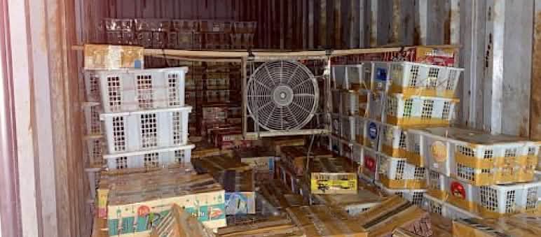 Flight was able to rescue more than six thousand birds from this truck View of a truck filled with crates