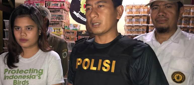 Flight uncovers bird trafficking, veterinarians examine the animals, police arrest the perpetrators Young woman wearing Flight t-shirt and police officer in a warehouse with crates of birds