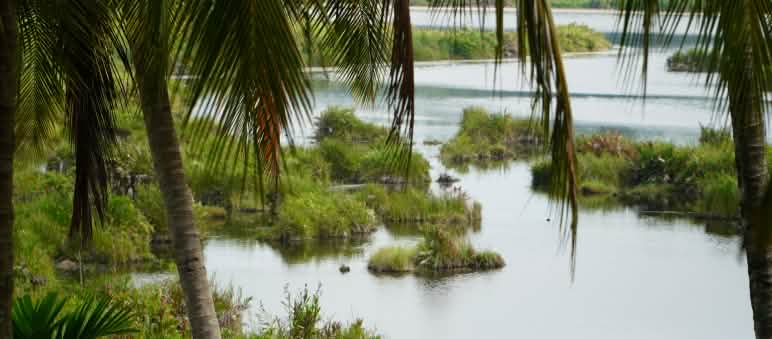 The Paya-Nie ecosystem is now protected Paya-Nie ecosystem, Sumatra