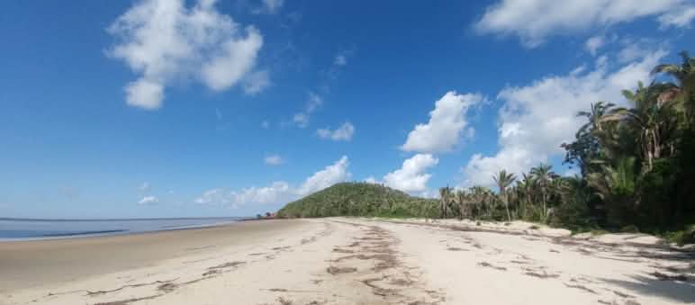Pristine beach in the south of the protected island of Cajual, where the export port is to be built Tropical beach with palm trees on Cajual Island