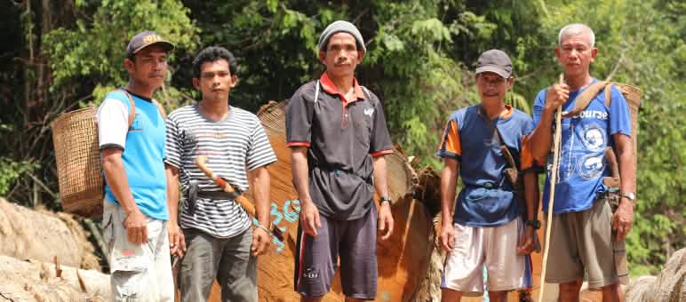 Replacing precious forests with oil palm deserts? Not with us. Indigenous Dayak Tomun in the Kinipan forest