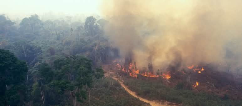 Fire in Amazonia