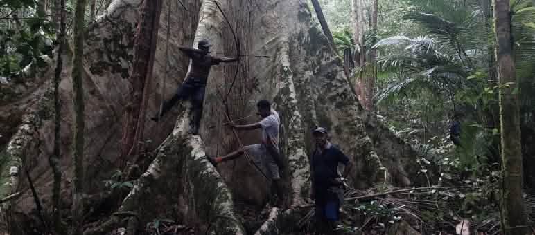 Our partners often face years of struggle (photo: bishib70/Flickr – CC BY-NC-ND 2.0) Three men at the foot of a giant tree