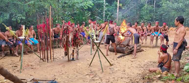 The Laman Kinipan people consistently and persistently stand up for human rights, nature and indigenous culture. Kinipan people blocking the road for loggers and bulldozers