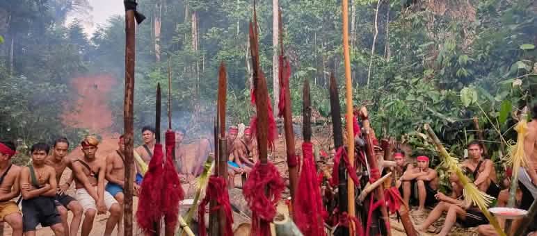 Respecting the rights of Indigenous people is the key to saving the rainforest. Here, the Indigenous Dayak Tomun community is protesting for the preservation of their forest in the village of Kinipan. The indigenous Dayak Tomun from Kinipan protesting against the clearing of their forest by the palm oil company SML