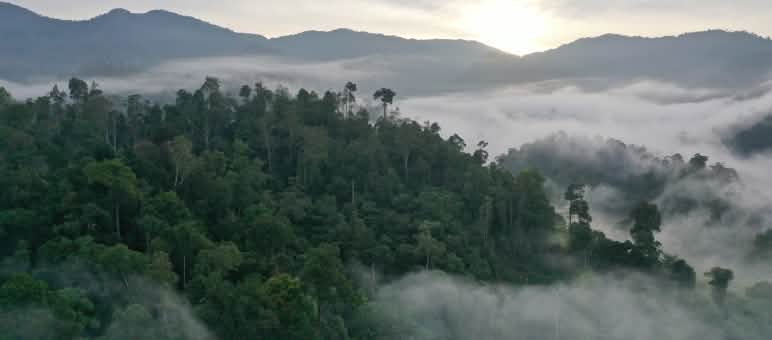The deployment area: from the Tripa swamps to the mountains of the Gayo highlands Clouds on forested mountains