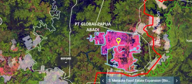 Satellite image shows unchecked deforestation in Merauke for sugar, rice, and ethanol Satellite image showing concession of PT Global Papua Abadi
