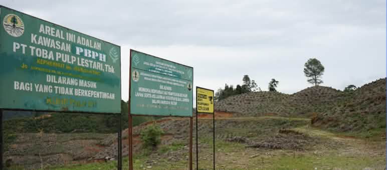 “No trespassing!” Toba Pulp Lestari has long since boiled the rainforest down to pulp and viscose “No trespassing” signs in front of bare hills