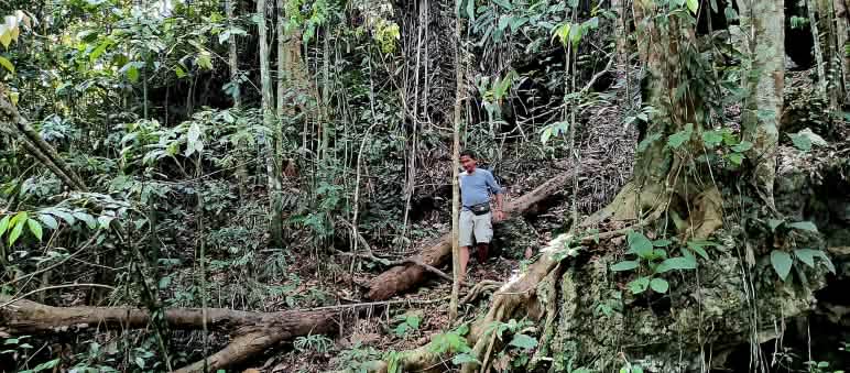 Guarding, caring, respecting – this is the attitude of the locals toward the forest Man in the forest