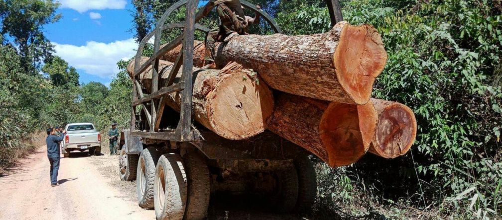 Illegal logging in Cambodia Illegal logging in Cambodia