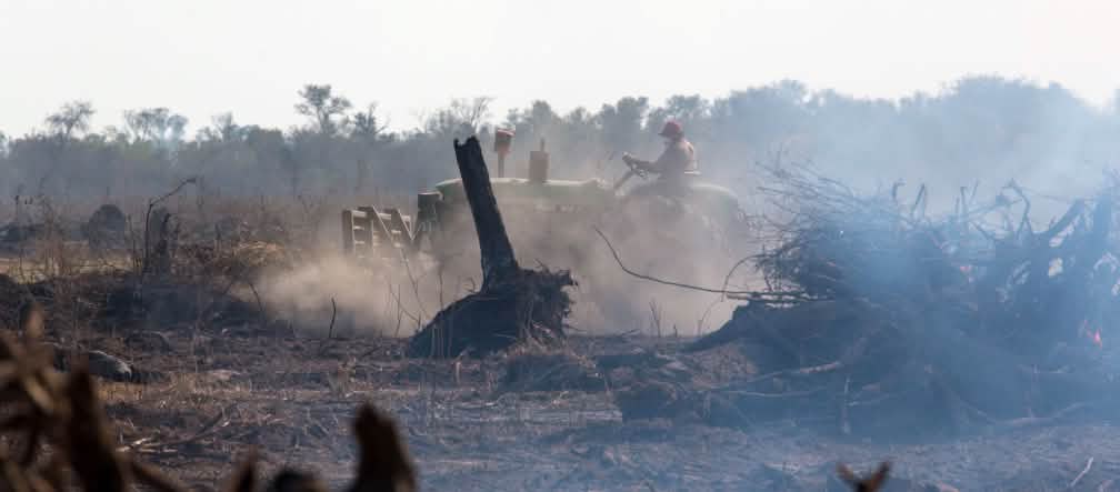 Deforestation for soy plantations in the Chaco region, South America Ein Traktor wirbelt Staub auf einer verbrannten Rodungsfläche im Urwald auf