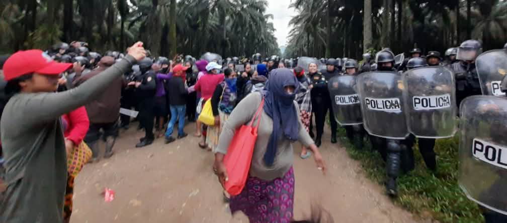 Police units advancing against Maya people in oil palm plantations A group of Maya protests on the left of the image, while police in riot gear advance under oil palms on the right