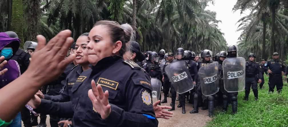 Violence against Maya people: police carry out raids and evictions A large group of police in riot gear advance on a dirt road in an oil palm plantation