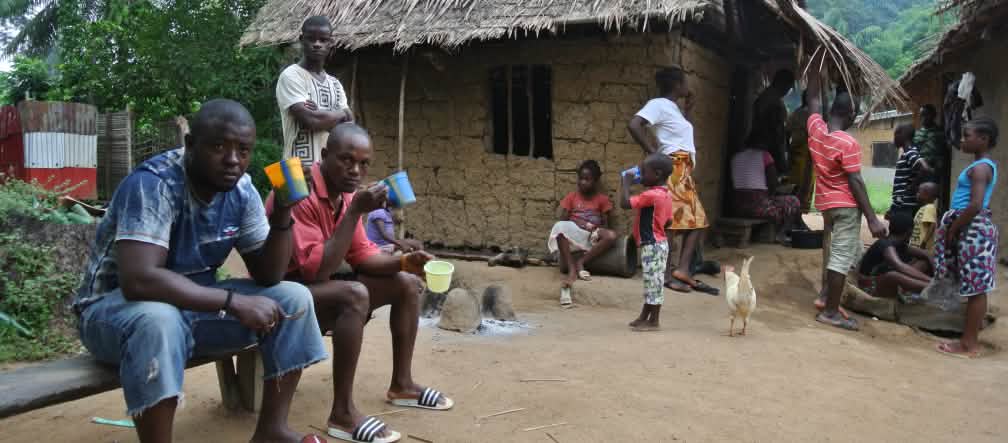 Many people live in the forests and rely on them for their livelihoods... Village in Liberia