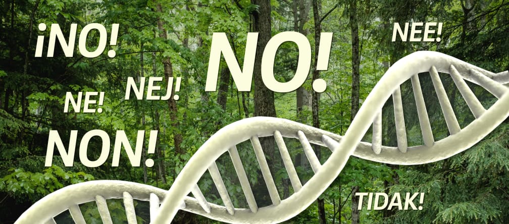 DNA in the forest