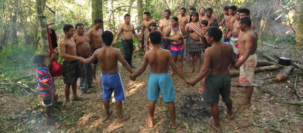 Ka'apor people performing a ceremony Indigenous Ka'apor people – children, women and men – join hands and form a circle in the rainforest