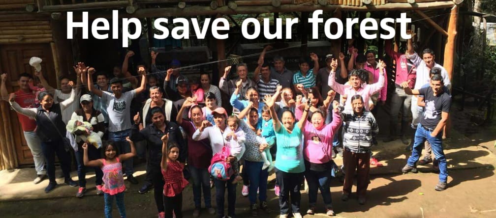 People protesting in the Intag region People protesting with raised fists. Text "Help save our forest"