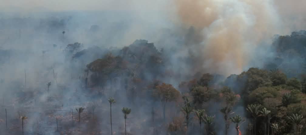 Forests are being torched across vast areas of South America to make way for cattle pastures and industrial soy farms Aerial view of burning rainforest