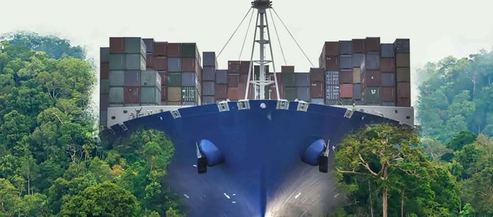 The globalization juggernaut vs. the rainforest A container ship plowing through the rainforest