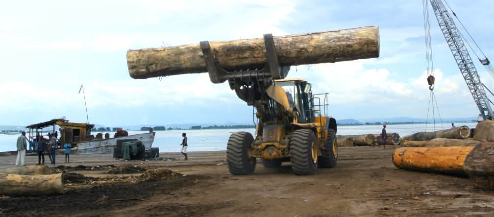 Legal or illegal? A weak state makes monitoring a challenge Loading timber in the port of Kinshasa