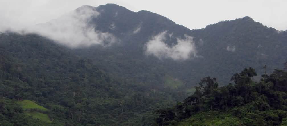 This lush landscape in the uplands of Brooke’s Point Municipality shows patches of well-conserved forest interspersed with Indigenous sustainably managed swiddens. This area is now part of the mining claims of Macroasia Corporation Mountain landscape covered with dense forest