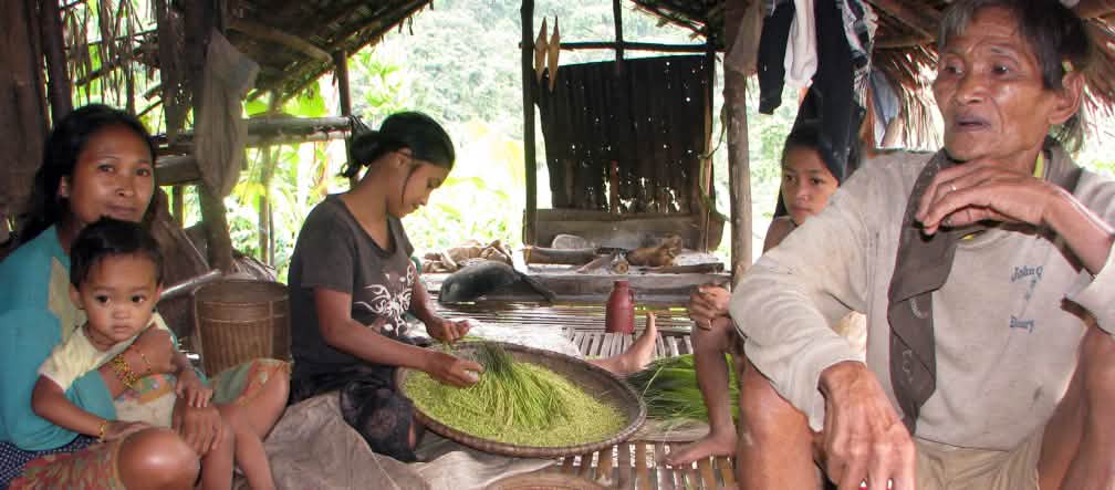 In the mountains of Brooke’s Point and elsewhere in Southern Palawan, indigenous communities are the custodians of an incredibly rich agro-biodiversity that includes up to 80 local varieties of upland rice A man, three women and a small boy sit in an open hut, a woman sorts rice in a shallow bowl