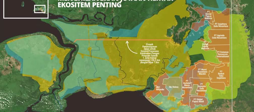 Millions of hectares of rainforest, vital ecosystems and Indigenous rights are being sacrificed – for sugar, bioethanol and rice Map of Merauke showing concessions for sugar cane and rice