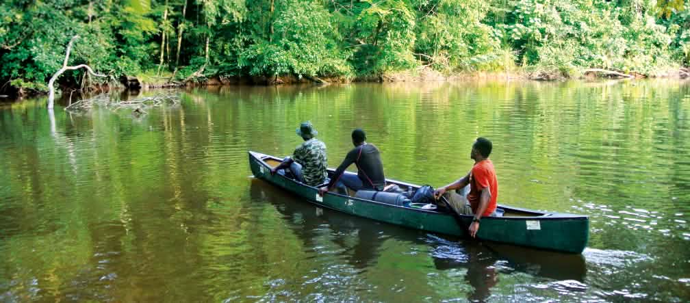 A large share of Liberia's land area is still forested River in Sapo National Park, Liberia
