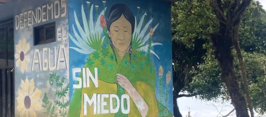 Activists painted this building, writing “Let’s defend the water without fear” A colorful mural of plants and an indigenous woman on the walls of a small building with the inscription: “Let’s defend the water without fear”