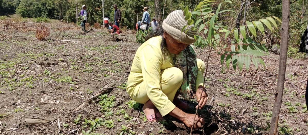 Crouching woman planting a tree